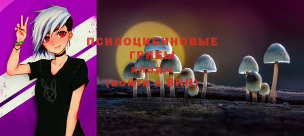 шишки Кодинск
