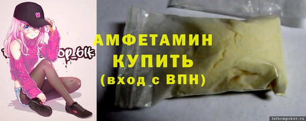 шишки Кодинск
