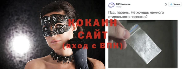 шишки Кодинск