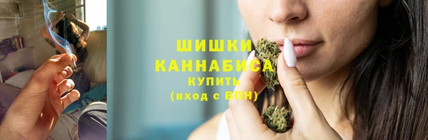 шишки Кодинск