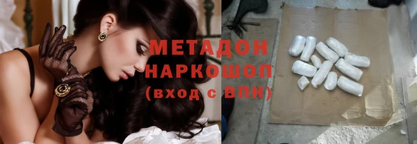 шишки Кодинск
