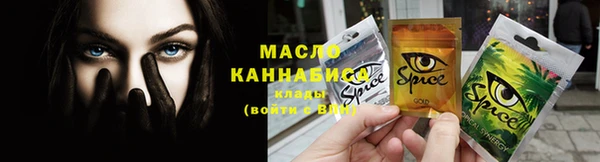 шишки Кодинск