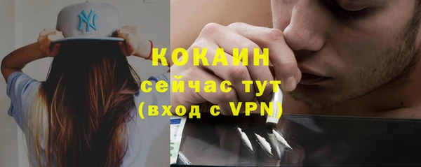 шишки Кодинск
