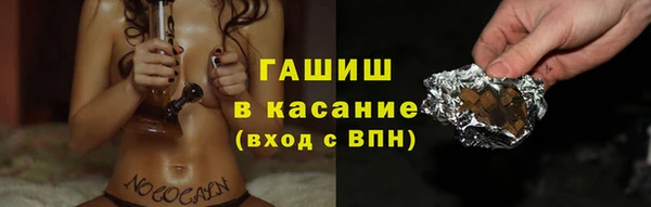 шишки Кодинск
