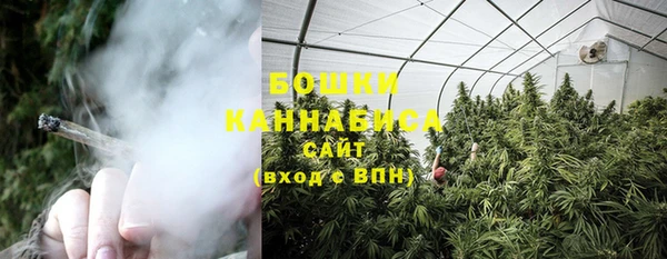 шишки Кодинск