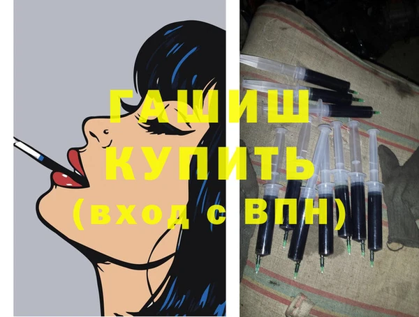 шишки Кодинск