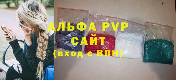 шишки Кодинск
