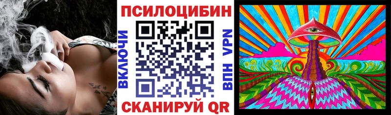 Купить где Невель Галлюциногенные грибы Psilocybe